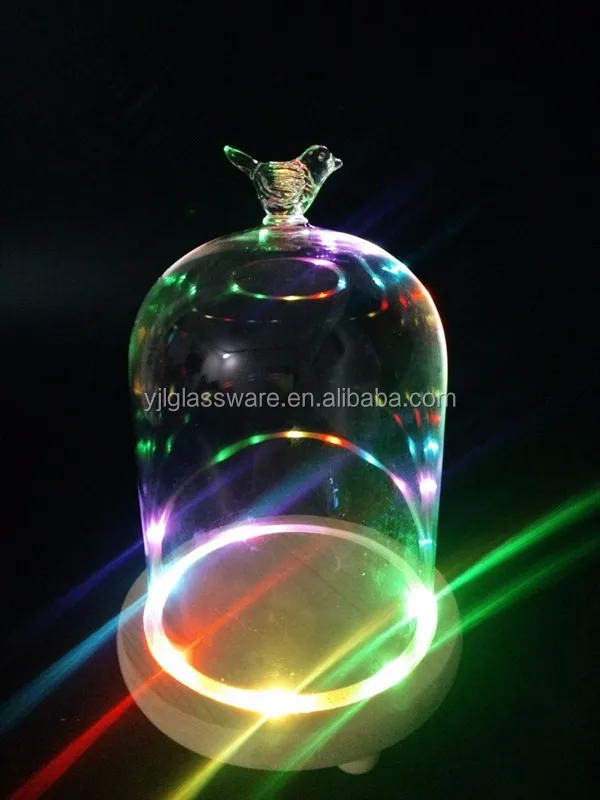 glass bell jar dome4