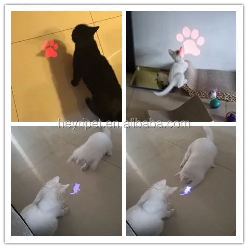 laser mouse cat toy