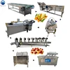 /product-detail/fruit-and-vegetable-drying-machine-fruit-dryer-dry-fruit-processing-machine-60834095194.html