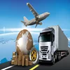 Cheap and fast Internation air freight to Swift Current from China