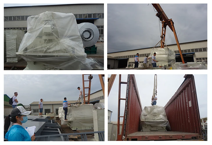 Biaxial Agravic Mortar Twin Shafts Cement Powder Paddle Mixer 