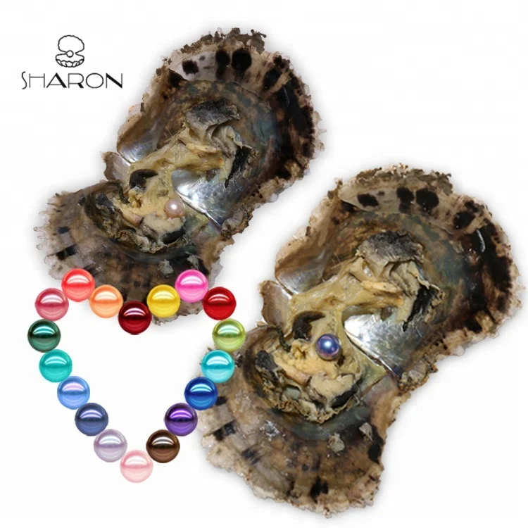 

AAAA Grade 6-7mm MIXED Color Vacuum Packed Oysters Akoya Pearl Oyster Saltwater Pearl Oyster Many Colours Stock, Mixed colors
