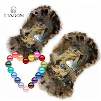 

AAAA Grade 6-7mm MIXED Color Vacuum Packed Oysters Akoya Pearl Oyster Saltwater Pearl Oyster Many Colours Stock