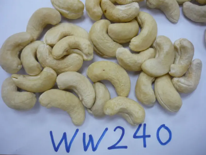 Dried Style Raw Cashew Nuts / Cashew Kernels Ww240 Ww320 Ww450 Ws Lp Sp ...