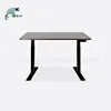 2019 New Comfortable height-adjustable electric standing table