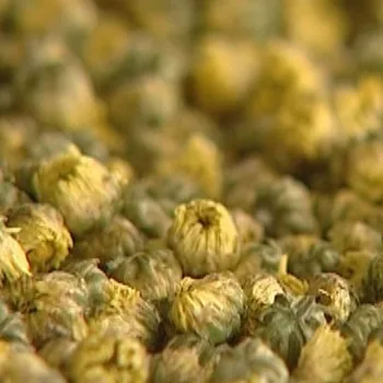 Chrysanthemum Tea With Honey Benefits Recipe  Buy Chrysanthemum Tea 