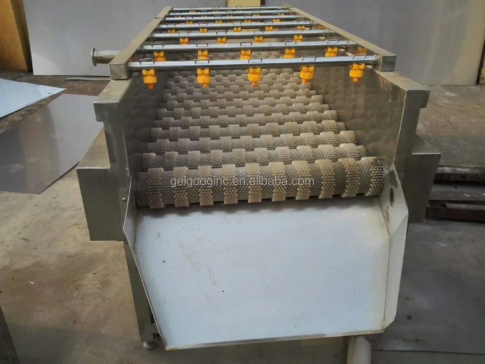 1000KG/H Fruit and Vegetable Washing Machine - Dates Line