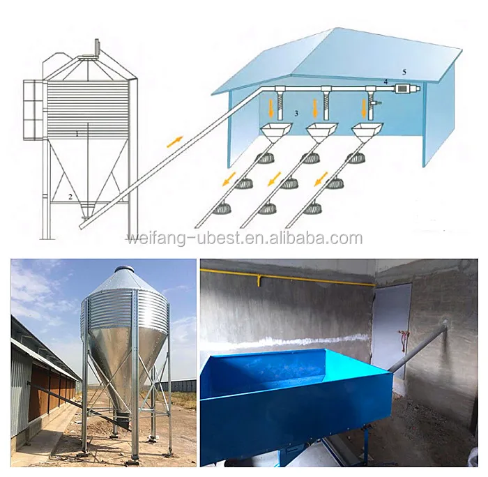 main feeding line system