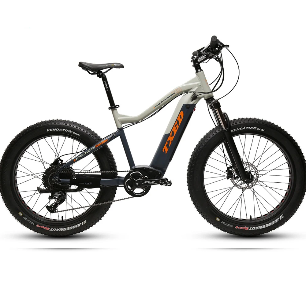 

bafang middle motor electric bike fat bike