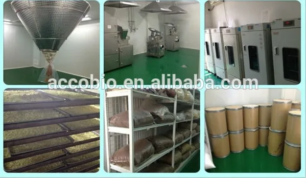 Bulk Powders Fast Act Lactase Enzyme 