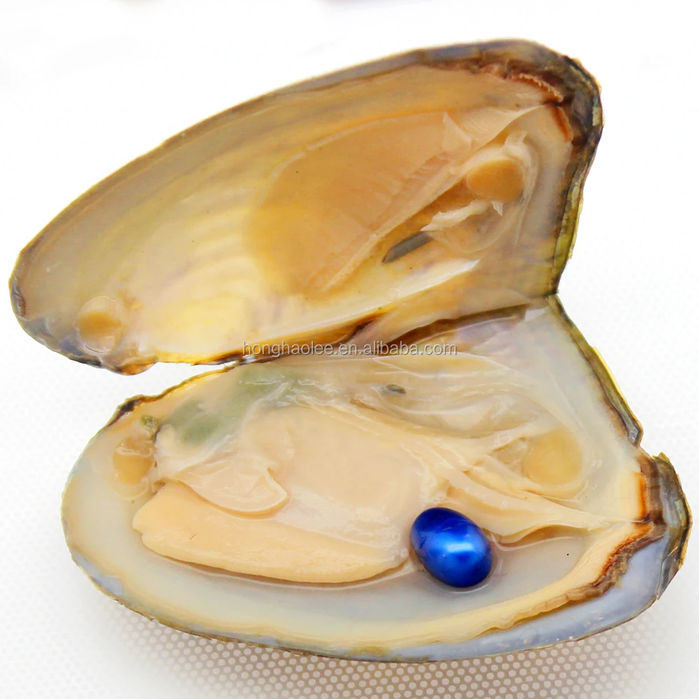 

Oval Oyster Pearl 2018 New 6-8mm #9 Dark Blue Freshwater Natural Pearl Gift, Loose Vacuum Packaging Wholesale Free Shipping