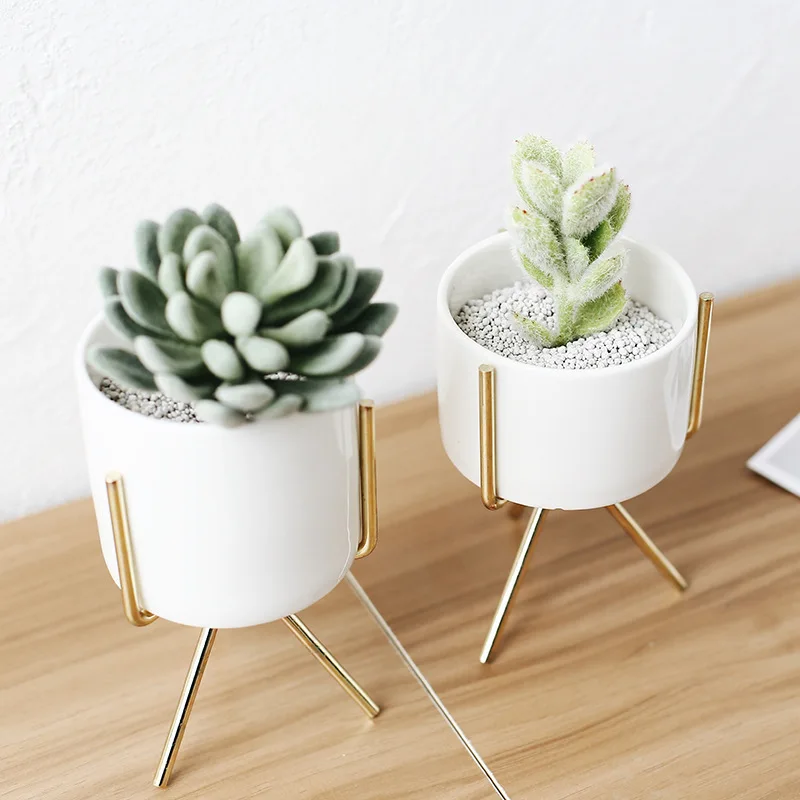 

Modern White Ceramic Flower Planters with golden Iron Stand