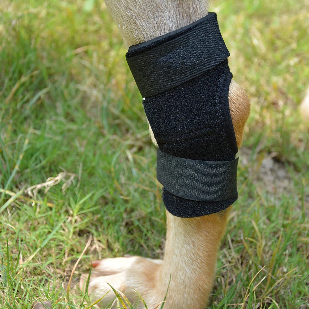 Hot Selling Adjustable Neoprene Dog Leg Knee Brace - Buy Dog Leg Brace ...
