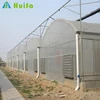 Economic Multi Span Poly Tunnel Greenhouse China