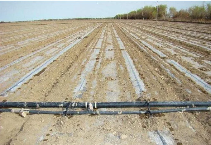 
Agricultural high pressure pe hose drip irrigation pipe for water drainage 