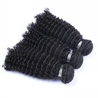 

100% Mink Cuticle Aligned Raw Virgin Malaysian Hair Kinky Curly Funmi Human Hair