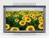 Big size TFT LCD Display 34.0 inch LCD Screen LM340WW1-SSC1 2560*1080