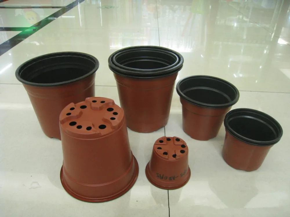 375592044_305549092_