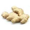 Bulk Organic Dry Ginger Slice