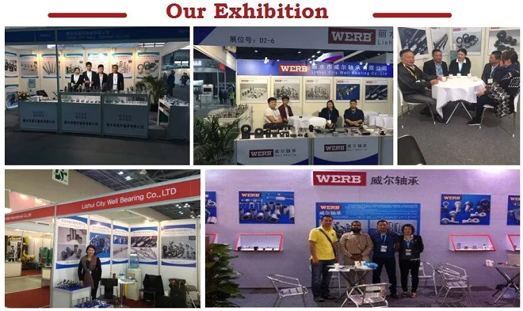 Hydraulic cylinder rod end bearing GK40DO