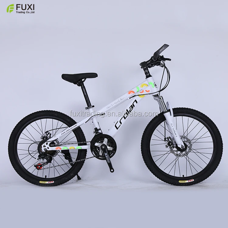 22 inch frame mountain bike