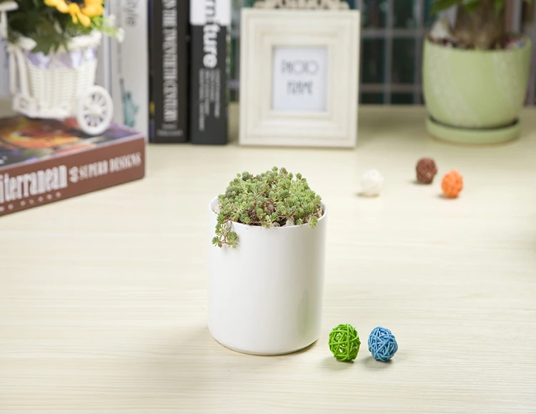 Ceramic Round Planter Pot Modern Indoor Plant Holder Flower Pots for plants