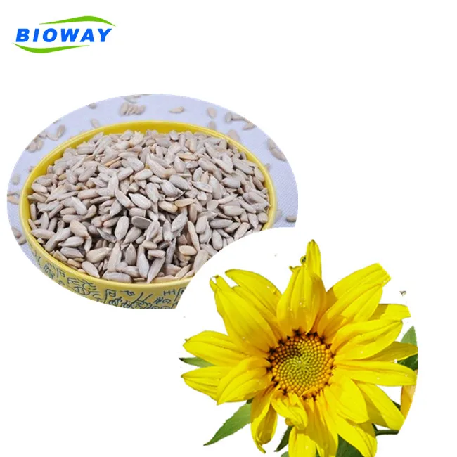 Graines De Tournesol Bienfaits Et Méfaits Grossiste tournesol 25kg-Acheter les meilleurs tournesol 25kg lots de