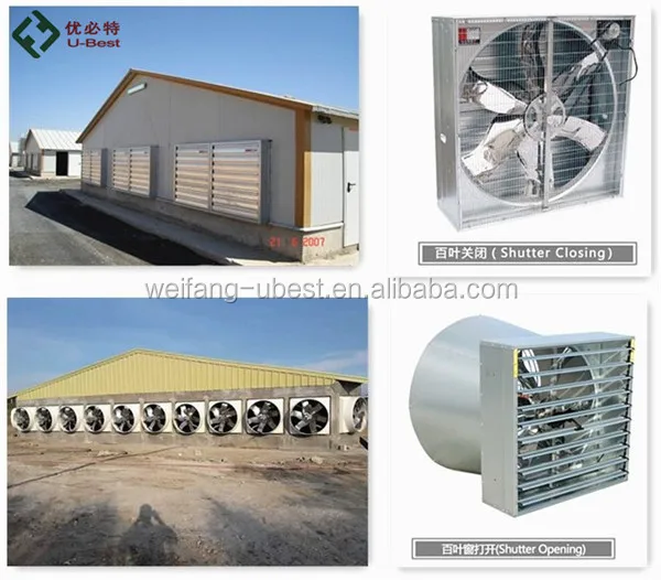 Aliabab china U-BEST chicken farm in Namibia and poultry broiler farm design construction for chicken