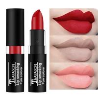

Make Up private label matte Waterproof Lipstick Long Lasting Women High Pigment Lipsticks