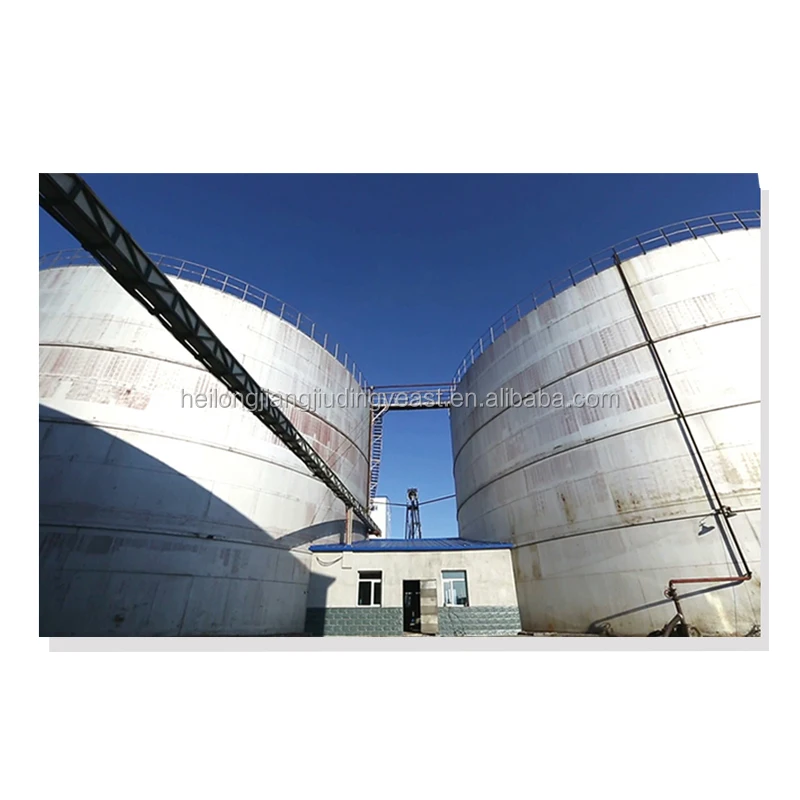 
BV certificated high sugar low sugar bread Instant Dry Yeast manufacturer 500g 