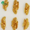 China Walnut Exporters New Crop Wholesale Walnut kernel