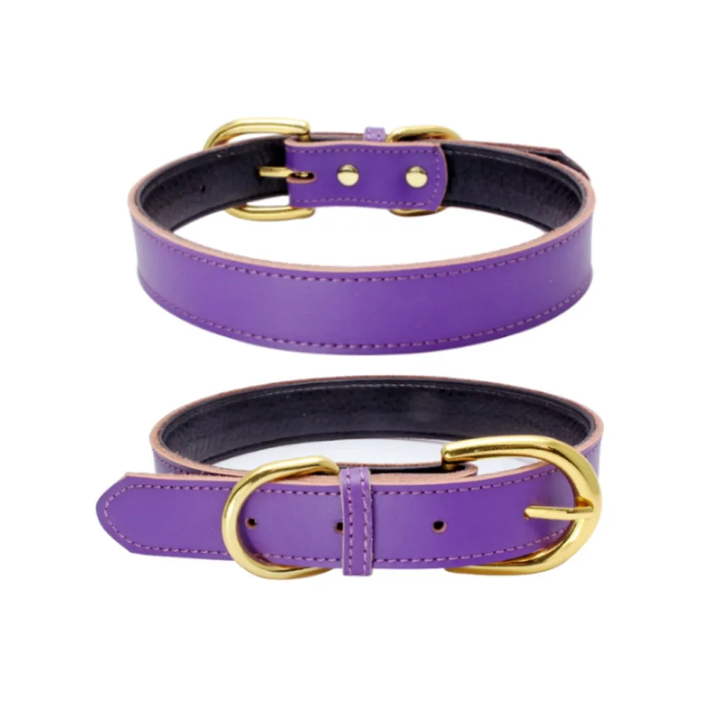 Japanese Dog Collar Leashes Pets Accessories Products For Dogs - Buy ...