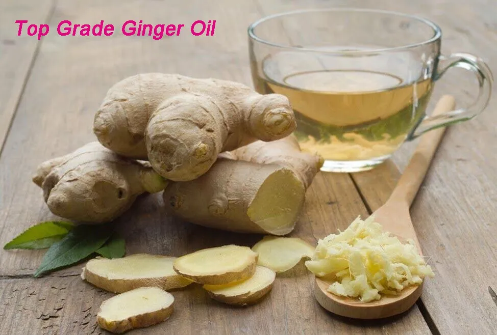
Certified Manufacturer Ginger oleoresin/ginger oil plant extract 