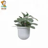 Novelty self adhesive Toliet Brush multi holder