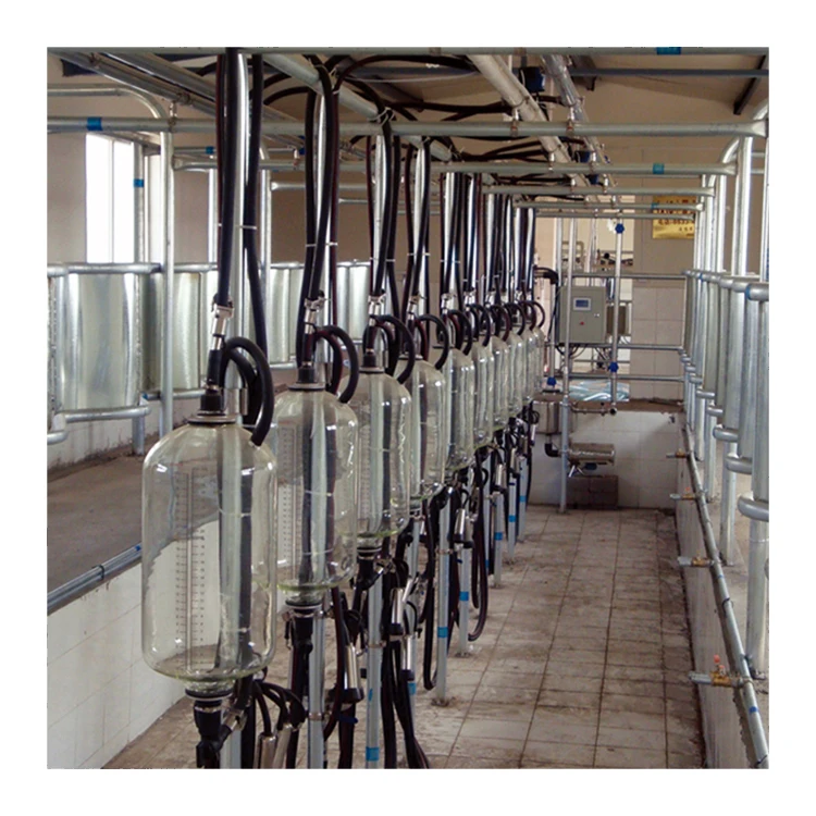 Hot Sell Cattle Farm Machinery Pail Milking Parlor System Buy Hot