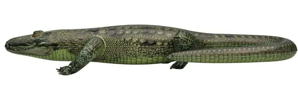 alligator inflatable pool toy