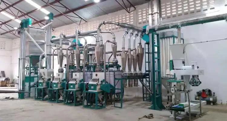 30tmaize milling.jpg