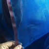 Agriculture Wire Mesh Netting/Anti Insect Netting/Blue Anti Insect Netting