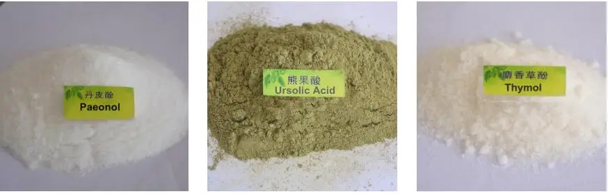 CAS NO.76-22-2 Natural /Synthetic Camphor Powder GMP factory best price high quality plant extract