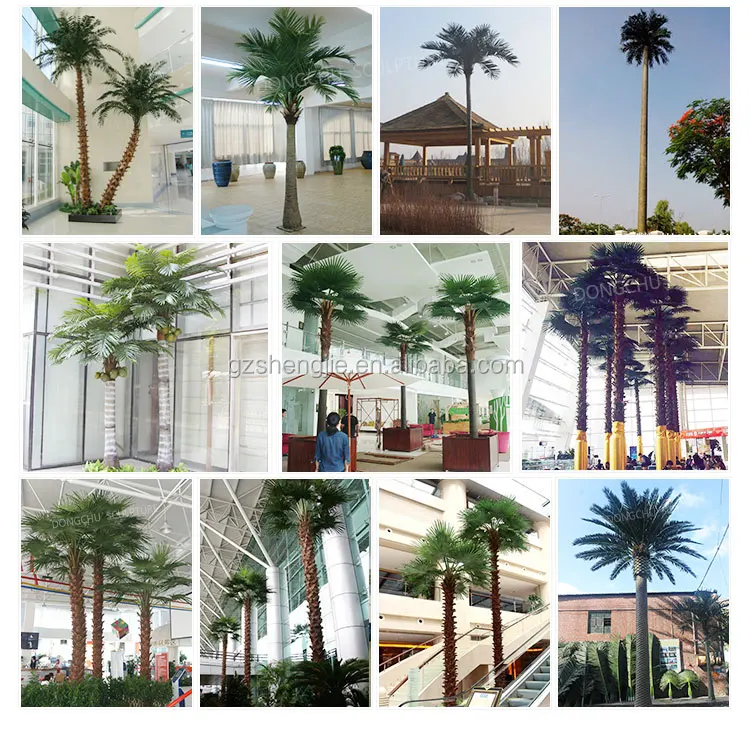 5m Outdoor Decorative Royal Palm Tree Fiberglass Roystonea Regia Palm