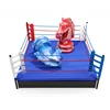 Complete Competition Boxing Ring
