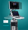 wireless wi-fi connection adjustable touch screen Sonoscape ultrasound P50