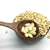 evengranular wild red pine nuts without shell from northeast China