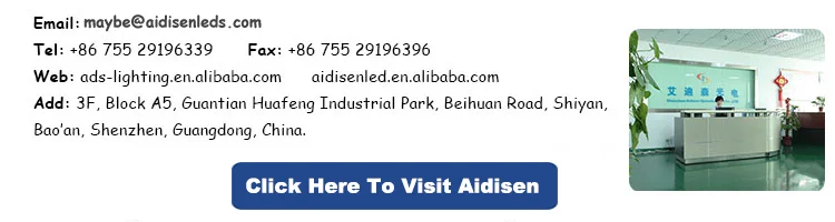 AC220v dc5v dc12v programmable sd card control ws2811 t8000 led pixel lighting software pixel controller