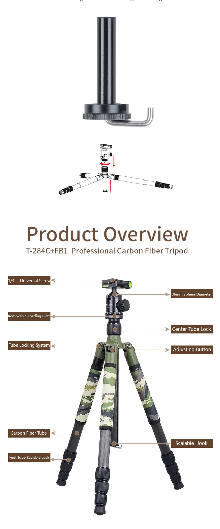 T-284C+FB1__02.jpg