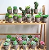2019 NEW ARRIVER Assorted Potted Succulents Plants with Gray Pots