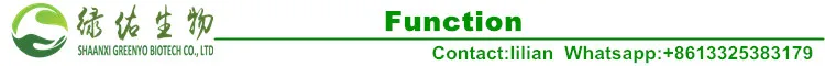 LOGO_final88_function