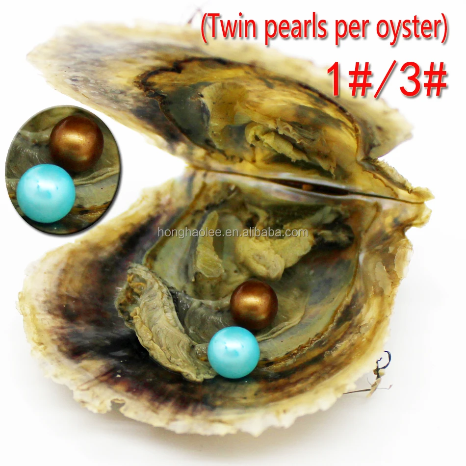 

AAAA grade 6-7mm vacuum packed oysters akoya twins pearl oyster oyster many colours stock DHL Free Shipping 2-5days delivery