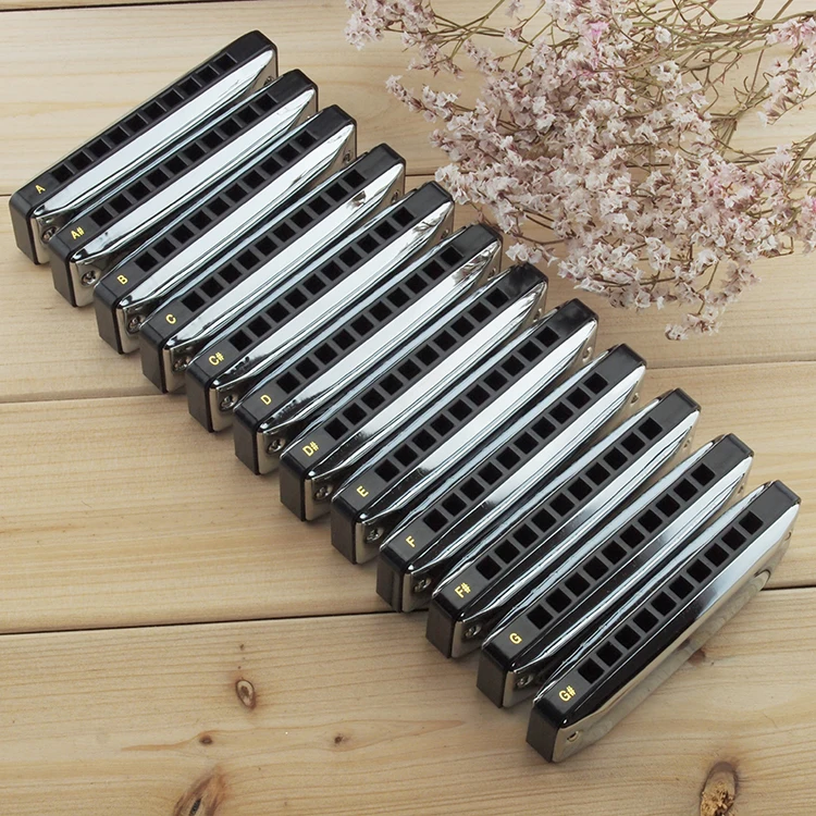 Easttop T002 Diatonic Harmonica Blues Harp Plastic Harmonica China High