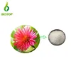 Low Price Pure Herbal 98% Andrographolide Andrographi Paniculata Extract